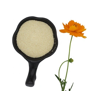Food Grade Jelly Ingrendifent Gelatin for Food